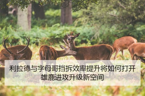 利拉德与字母哥挡拆效率提升将如何打开雄鹿进攻升级新空间（kaiyun）